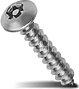 security screw